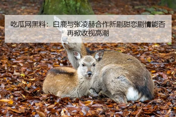吃瓜网黑料：白鹿与张凌赫合作新剧甜恋剧情能否再掀收视高潮